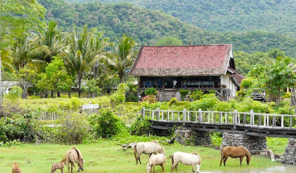 Lakey Beach Inn Hotel Huu Ngoại thất bức ảnh